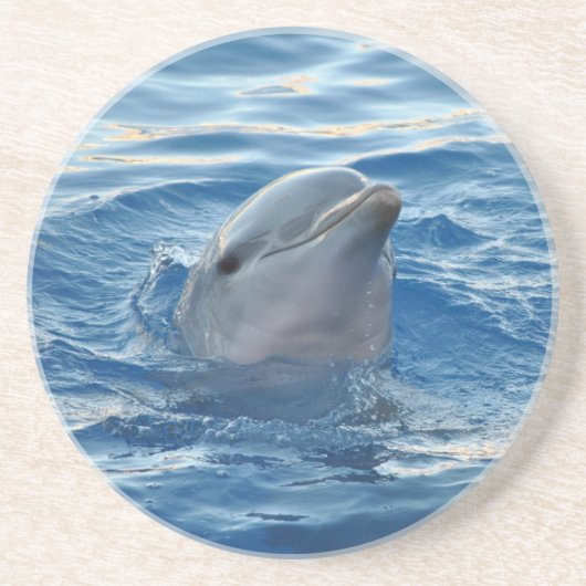 Dessous De Verre En Grès Dauphin (Devant)