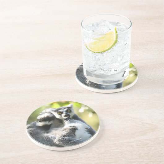 Dessous De Verre En Grès Des lémuriens de Madagascar surpris (Côté)