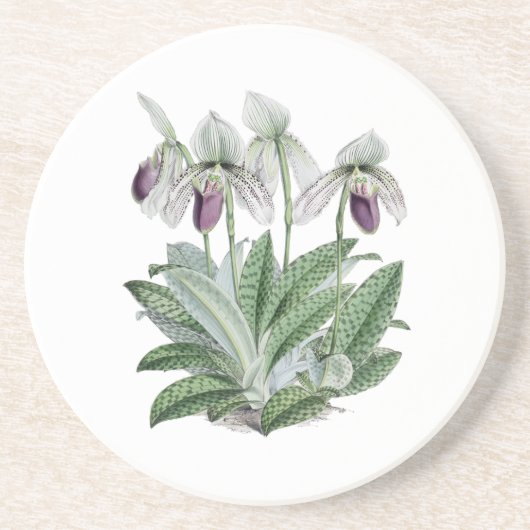 Dessous De Verre En Grès Dessous de verre de boissons de grès d'orchidée de (Devant)