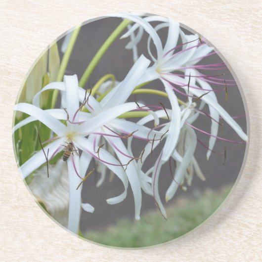 Dessous De Verre En Grès Dessous de verre de grès aux parfums floraux (Devant)