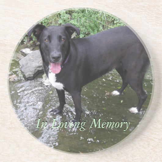 Dessous De Verre En Grès dessous de verre de grès de photo personnalisés (Devant)