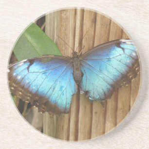 Dessous De Verre En Grès Dessous de verre de grès papillon