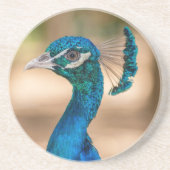 Dessous De Verre En Grès Dessous de verre de grès Peacock (Devant)
