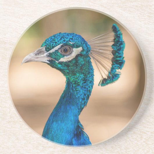 Dessous De Verre En Grès Dessous de verre de grès Peacock (Devant)