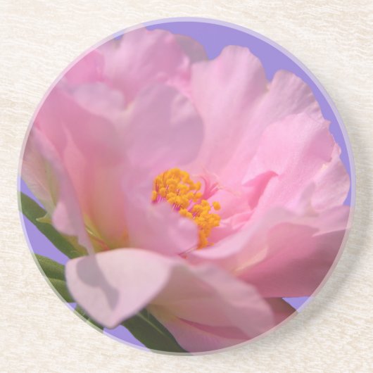 Dessous De Verre En Grès Dessous de verre de grès rose Peony (Devant)