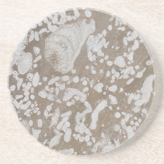 Dessous De Verre En Grès Dessous de verre Dévonien de grès fossile (Devant)