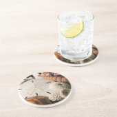 Dessous De Verre En Grès Détail Des Coquillages Du Monde Entier (Côté)