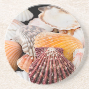 Dessous De Verre En Grès Détail Des Coquillages Du Monde Entier 2