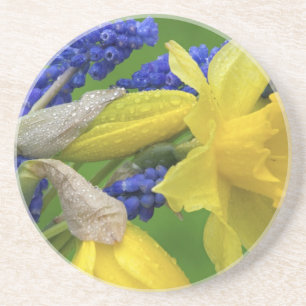 Dessous De Verre En Grès Détail des fleurs de jonquille et de jacinthe. Cré