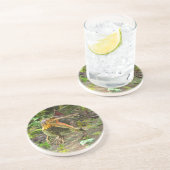 Dessous De Verre En Grès Dinosaure Spinosaurus (Côté)
