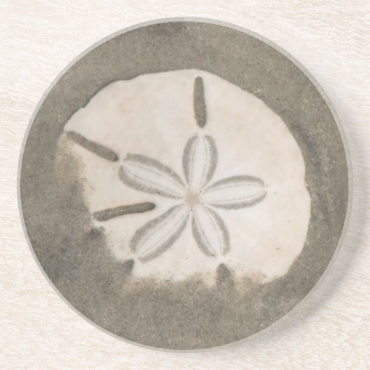 Dessous De Verre En Grès Dollar de sable (Echinarachnius parma) (Devant)