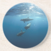 Dessous De Verre En Grès Dolphin Family (Devant)