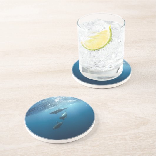 Dessous De Verre En Grès Dolphin Family (Côté)