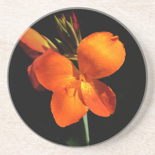 Dessous de verre en grès d'orchidée éblouissant (Devant)