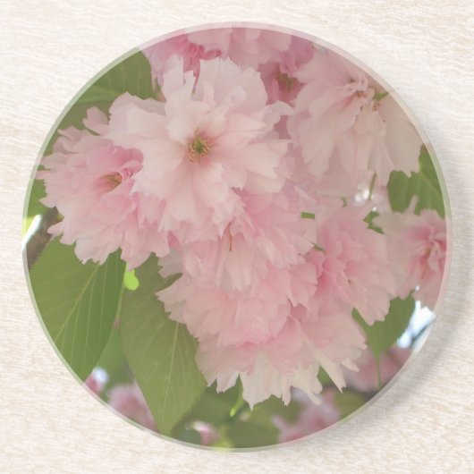 Dessous De Verre En Grès Double floraison cerisier II printemps fleuri (Devant)