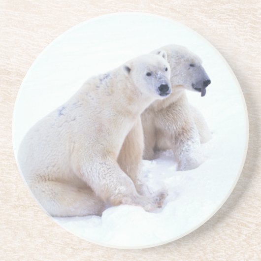 Dessous De Verre En Grès Duo d'ours blanc (Devant)