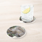 Dessous De Verre En Grès Écureuil (Côté)