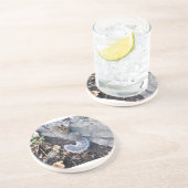 Dessous De Verre En Grès Écureuil gris ou écureuil gris (Côté)