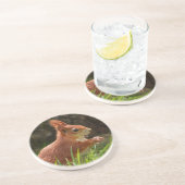 Dessous De Verre En Grès Écureuil rouge joyeux (Côté)