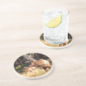 Dessous De Verre En Grès Élans (Côté)