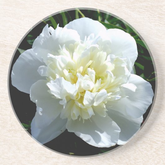 Dessous De Verre En Grès Elégant blanc peony floral blanc photo (Devant)