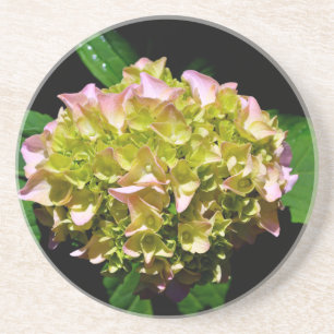 Dessous De Verre En Grès Elégant vert doux vert rose vert vert hydrangée