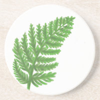 Élégante fougères vertes feuilles de bois