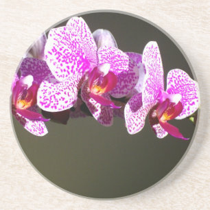 Dessous De Verre En Grès Élégante orchidée rose fleurie tropicale