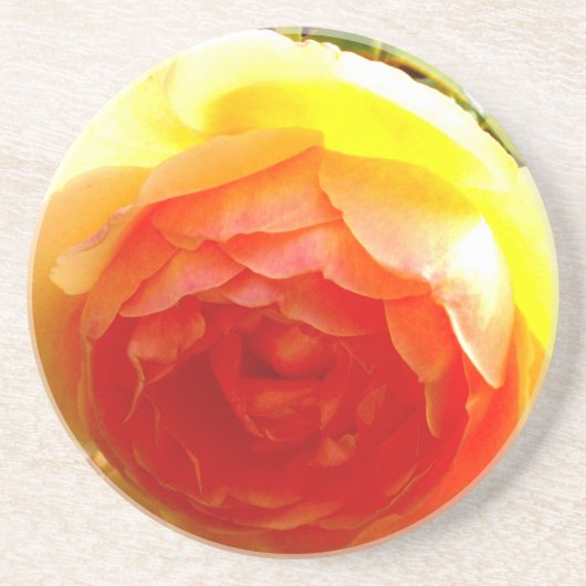 Dessous De Verre En Grès Elégante pêche jaune rose floral d'abricot rouge (Devant)