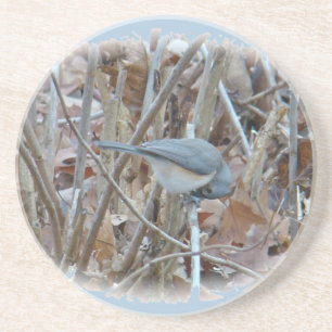 Dessous De Verre En Grès Éléments de coordination de l'oiseau-chanteur de s