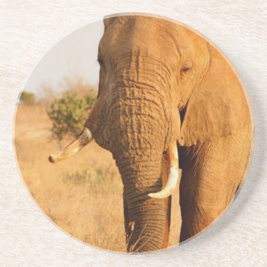 Dessous De Verre En Grès Éléphants (Devant)