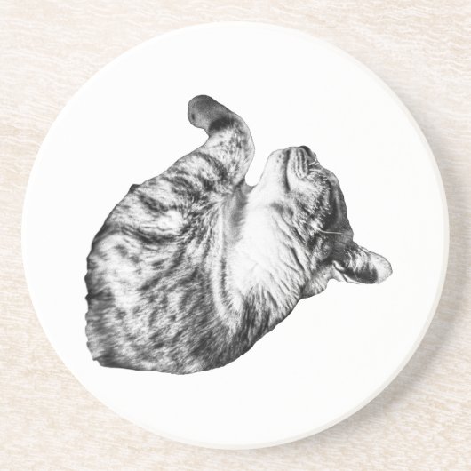 Dessous De Verre En Grès Ember-Step Purr (Devant)