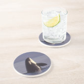 Dessous De Verre En Grès Épaulard (Orque orcinus) émergeant près de (Côté)