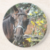 Dessous De Verre En Grès Équestre en attente (Devant)