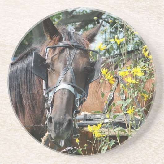 Dessous De Verre En Grès Équestre en attente (Devant)