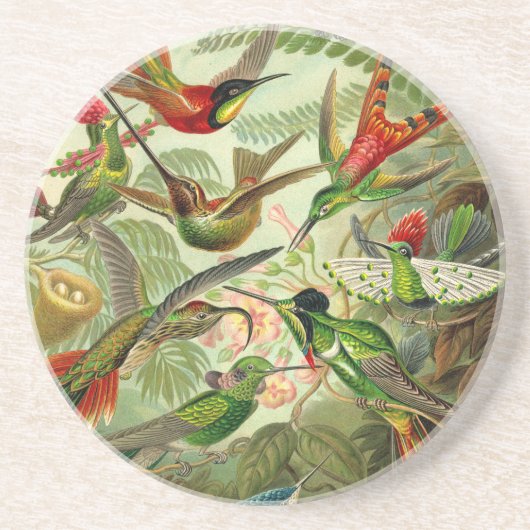 Dessous De Verre En Grès Ernst Haeckel Trochilidae (Devant)