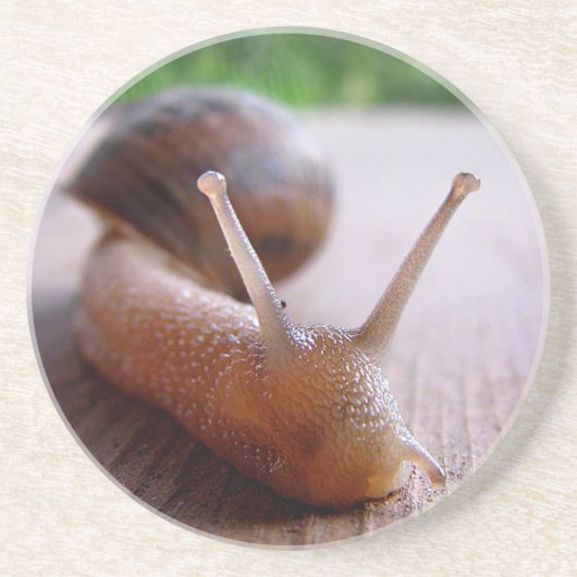 Dessous De Verre En Grès Escargot (Devant)