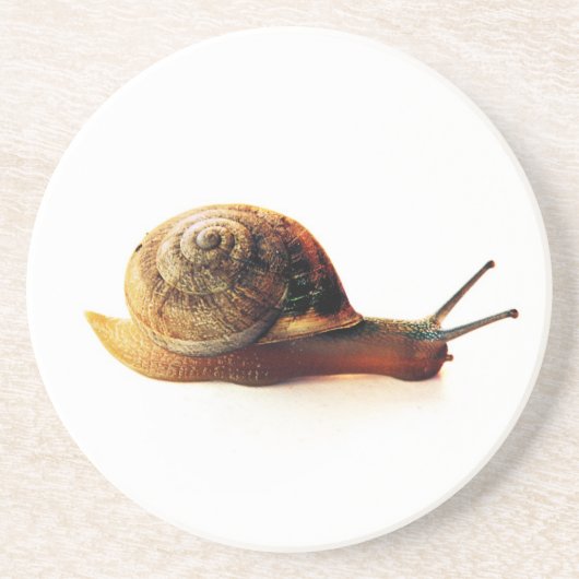 Dessous De Verre En Grès escargot (Devant)