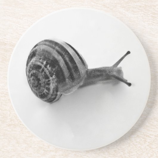 Dessous De Verre En Grès Escargot noir et blanc (Devant)