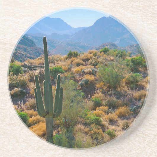 Dessous De Verre En Grès États-Unis, Arizona. Desert View (Devant)