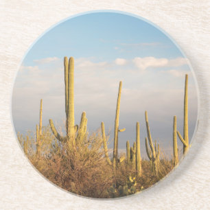 Dessous De Verre En Grès États-Unis, Arizona, Parc national de Saguaro, Sag