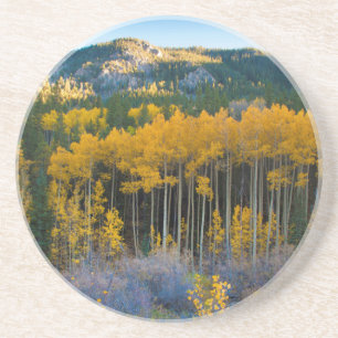 Dessous De Verre En Grès États-Unis, Colorado. Trembles jaunes lumineux dan