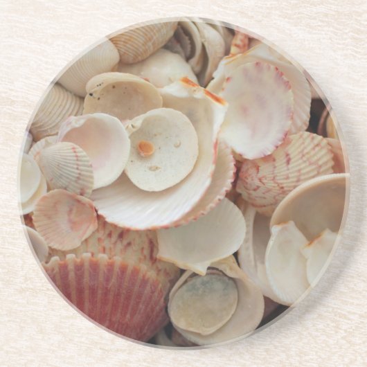 Dessous De Verre En Grès États-Unis, Floride. Fermeture Des Coques Sur Père (Devant)