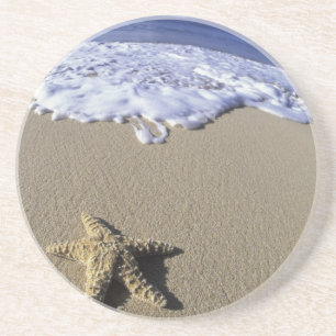 Dessous De Verre En Grès États-Unis, Hawaï, Maui, Makena Beach, Étoile de m