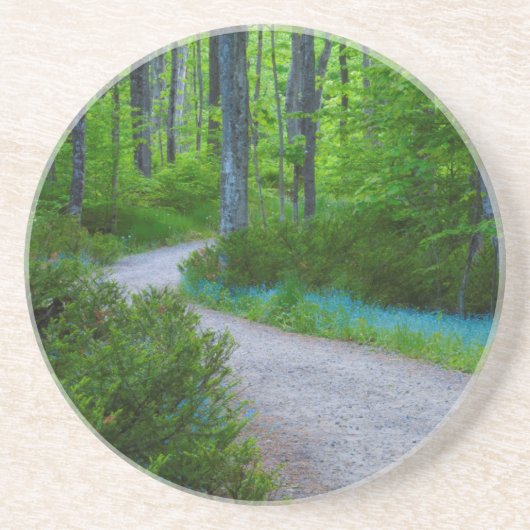 Dessous De Verre En Grès États-Unis, Michigan. Traverser Le Bois (Devant)