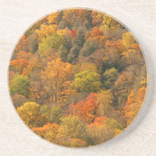Dessous De Verre En Grès États-Unis, Tennessee. Feuillage d'automne 2 (Devant)