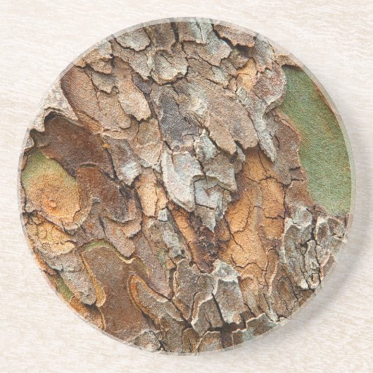Dessous De Verre En Grès États-Unis, Tennessee, Gros Plan Sur Un Arbre (Devant)