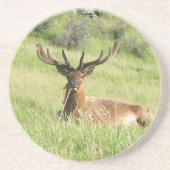 Dessous De Verre En Grès Étiquettes de la Nouvelle-Zélande (Devant)