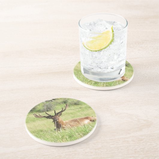 Dessous De Verre En Grès Étiquettes de la Nouvelle-Zélande (Côté)