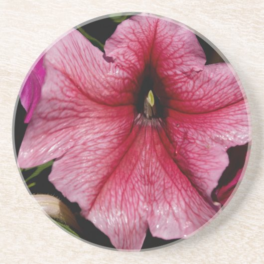 Dessous De Verre En Grès Explosion Florale (Devant)